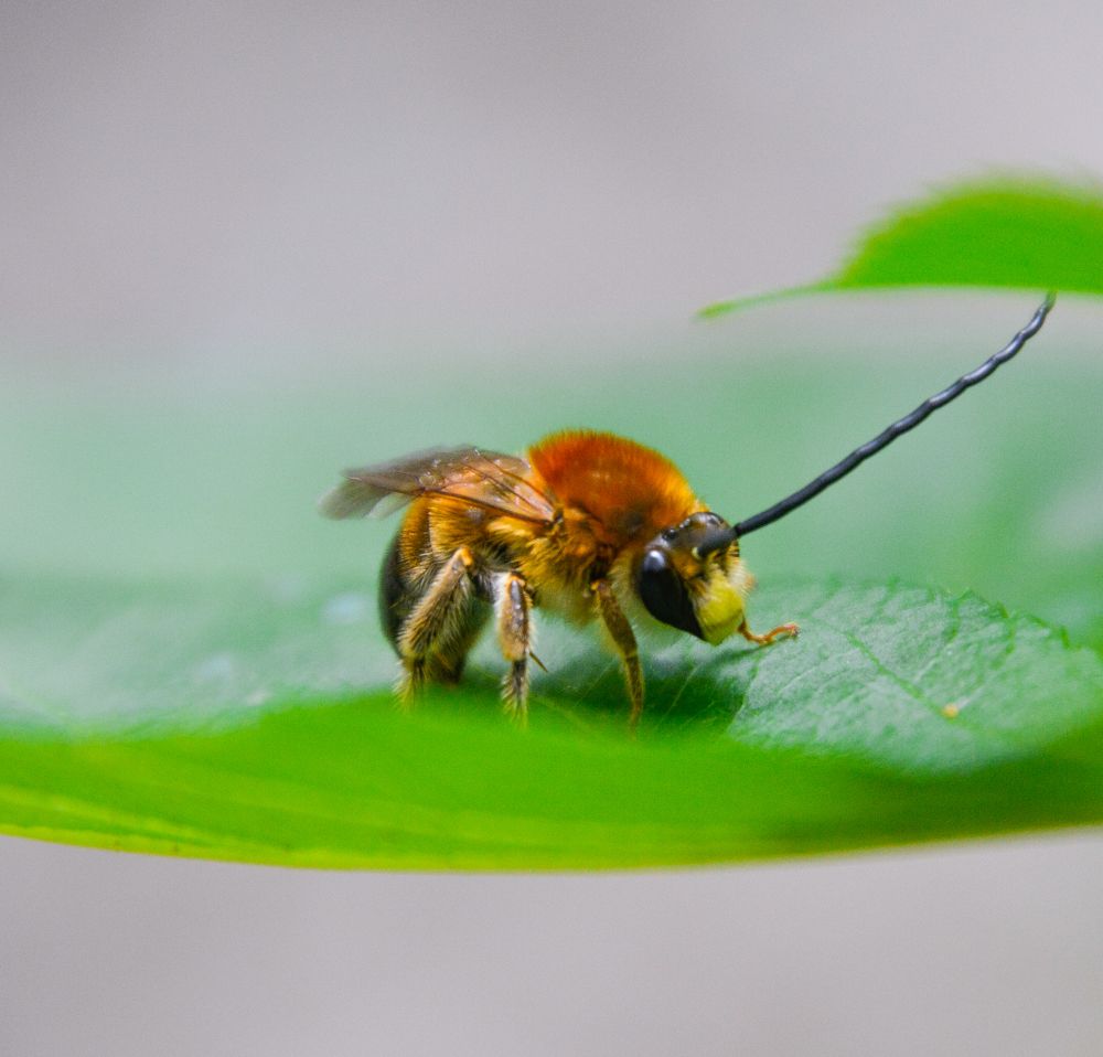Photograph by Ольга Андронова