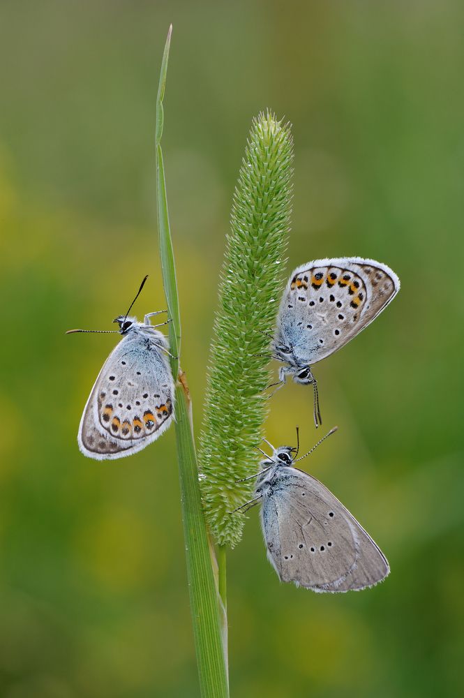 Photograph by Чистяков Андрей