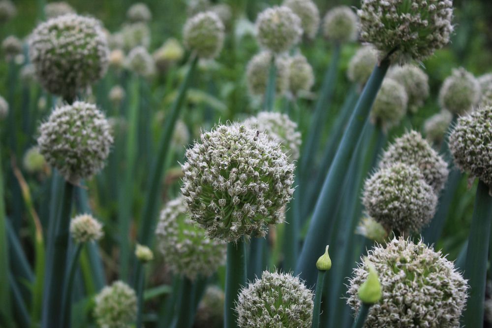 Photograph by Евгения Трубкина