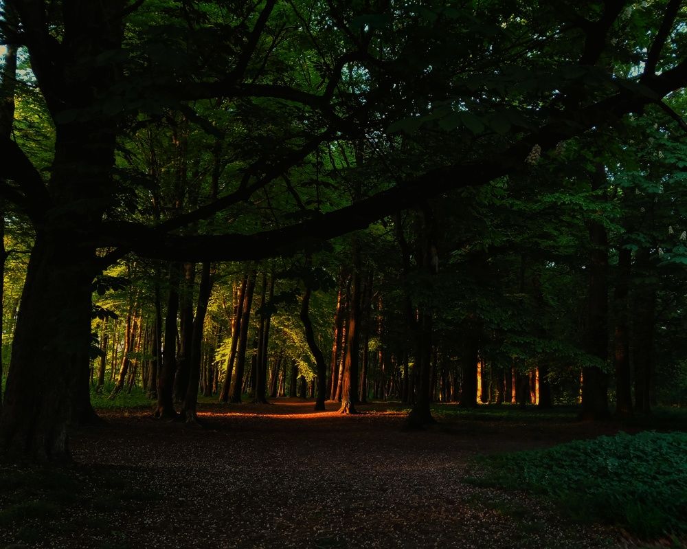 Photograph by wikhola