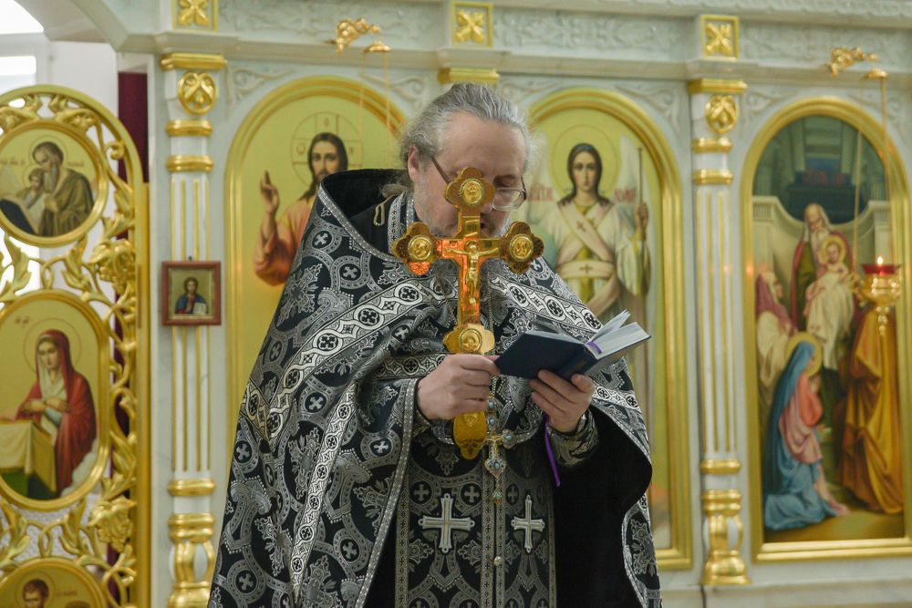 Photograph by наталья залогина