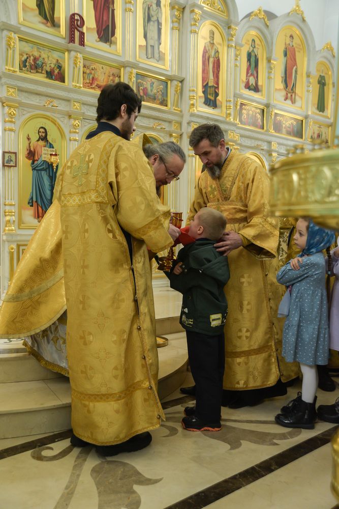 Photograph by наталья залогина