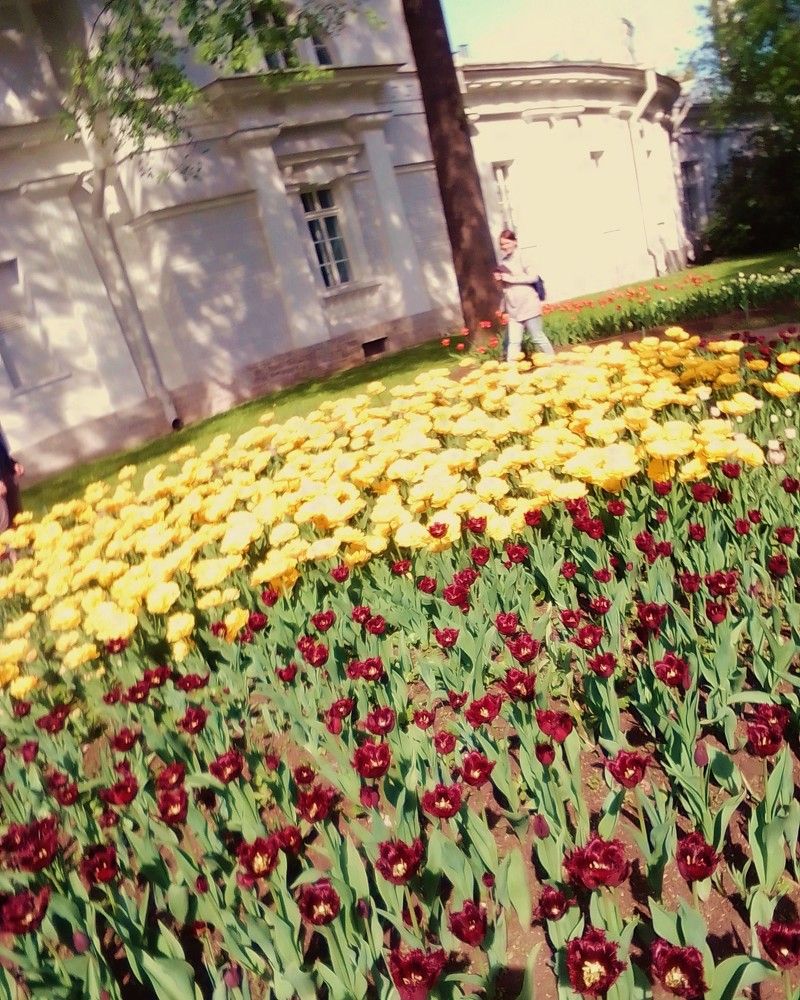 Photograph by Irina Mihailovskaya