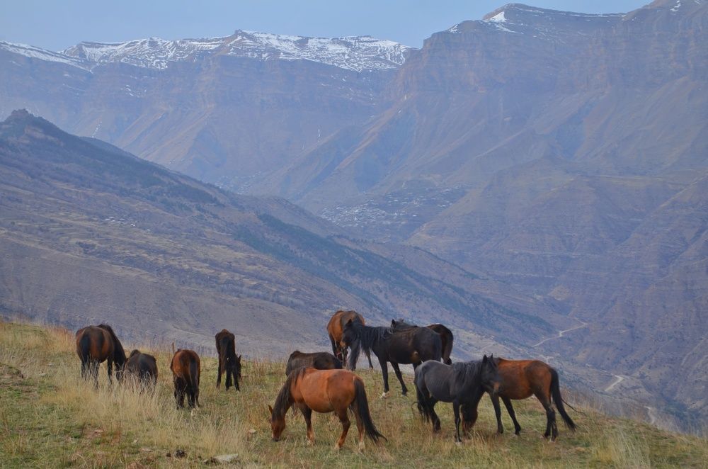 Photograph by Margareth Tikhonova