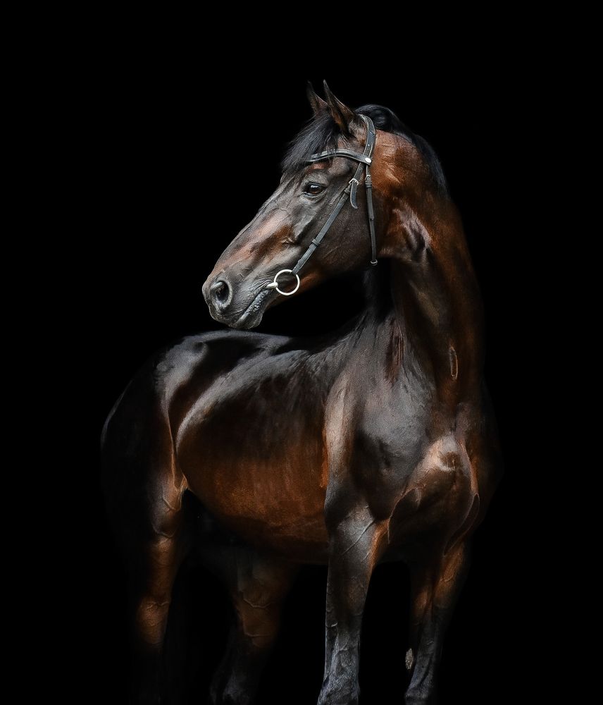 Photograph by Кристина Горковская