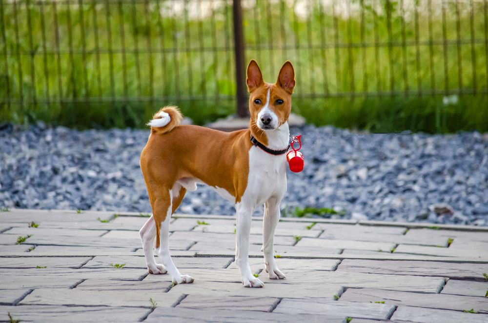 Photograph by Юлиана Иванова