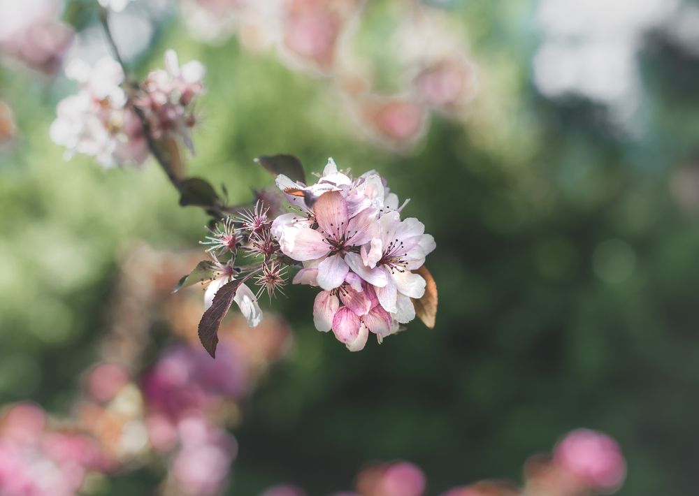 Photograph by Галина Еровенко