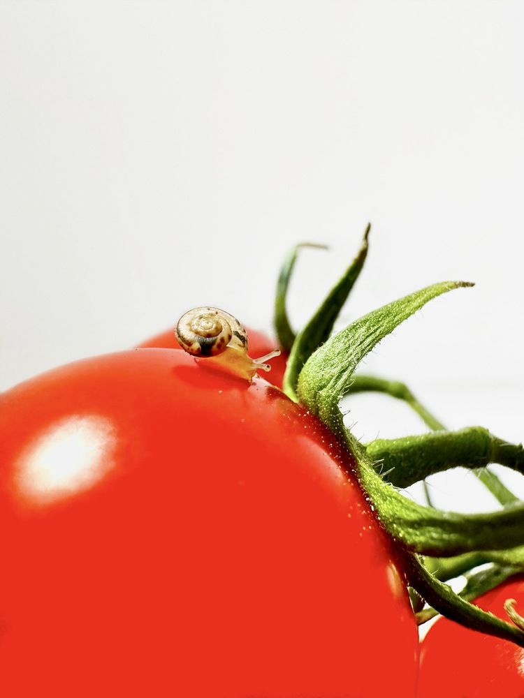 Photograph by Дина