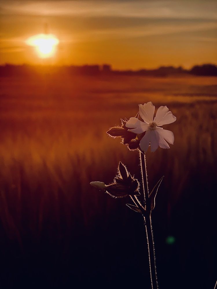 Photograph by Максим