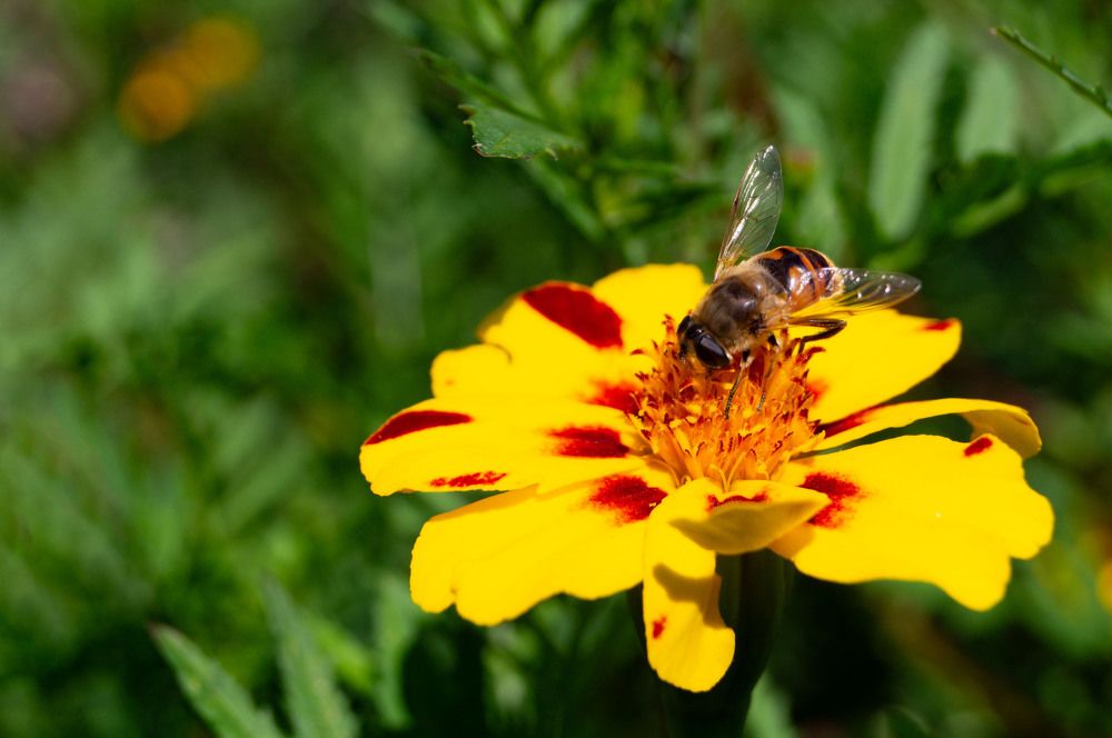 Photograph by Бабицын Алексей