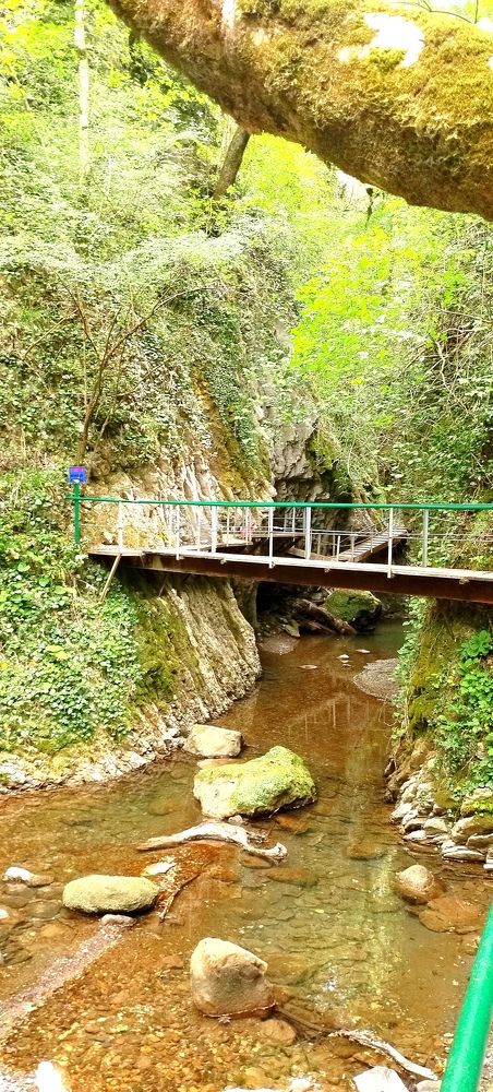 Photograph by Ирина Корнева