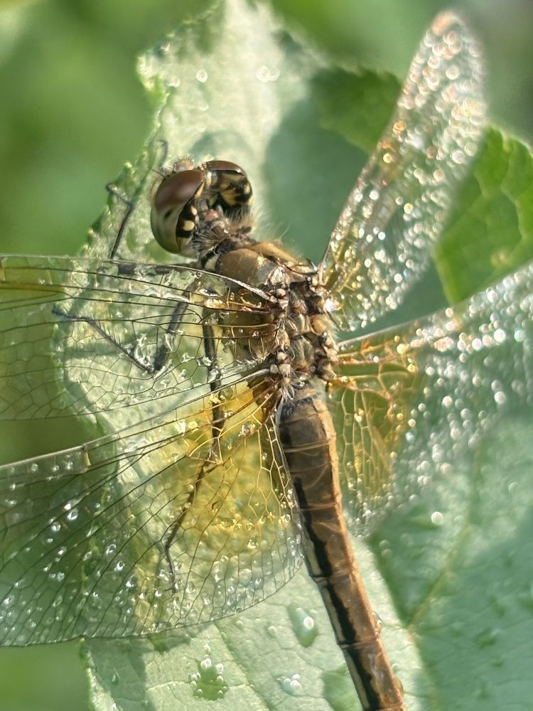 Photograph by Юлия