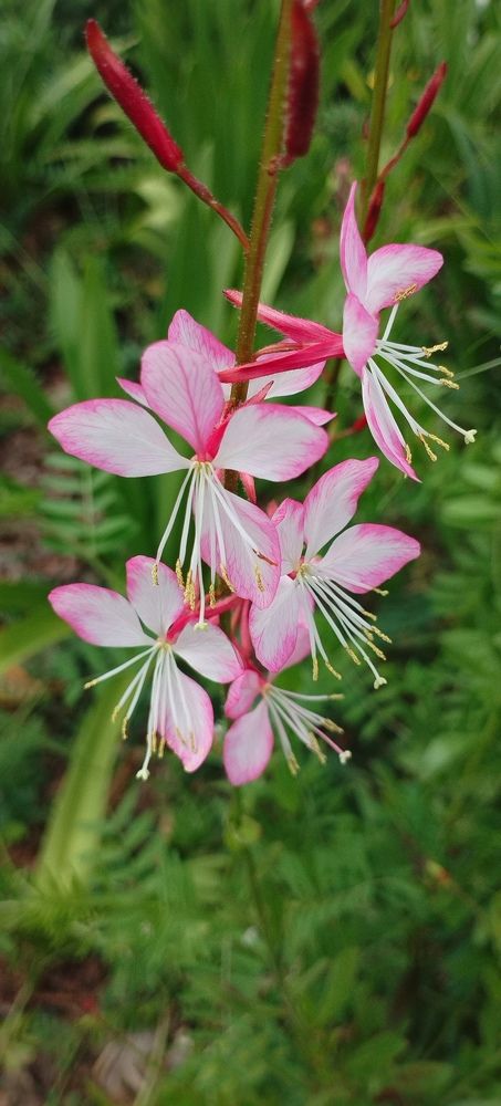 Photograph by Ирина Корнева