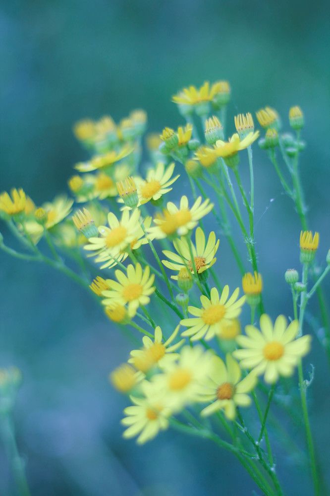 Photograph by Любовь Иванова