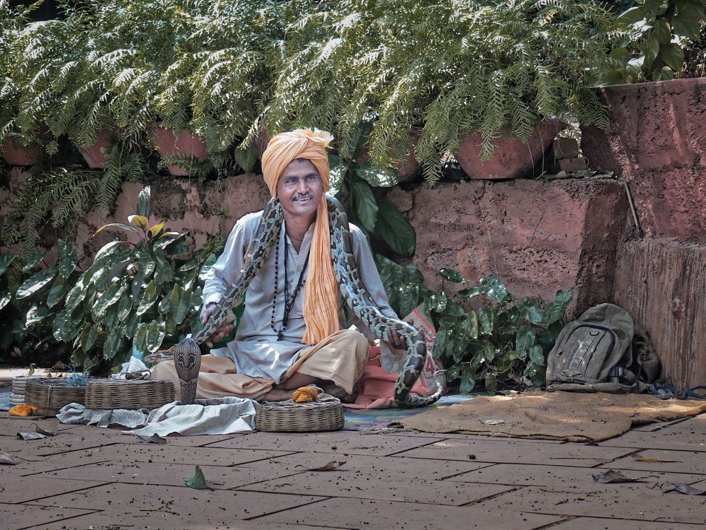 Фотография автора Анатолий Дауров