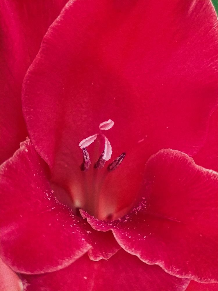 Photograph by Людмила Емельянчикова