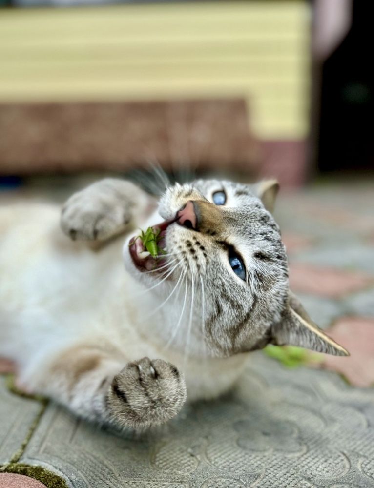 Photograph by Елена Карпухно