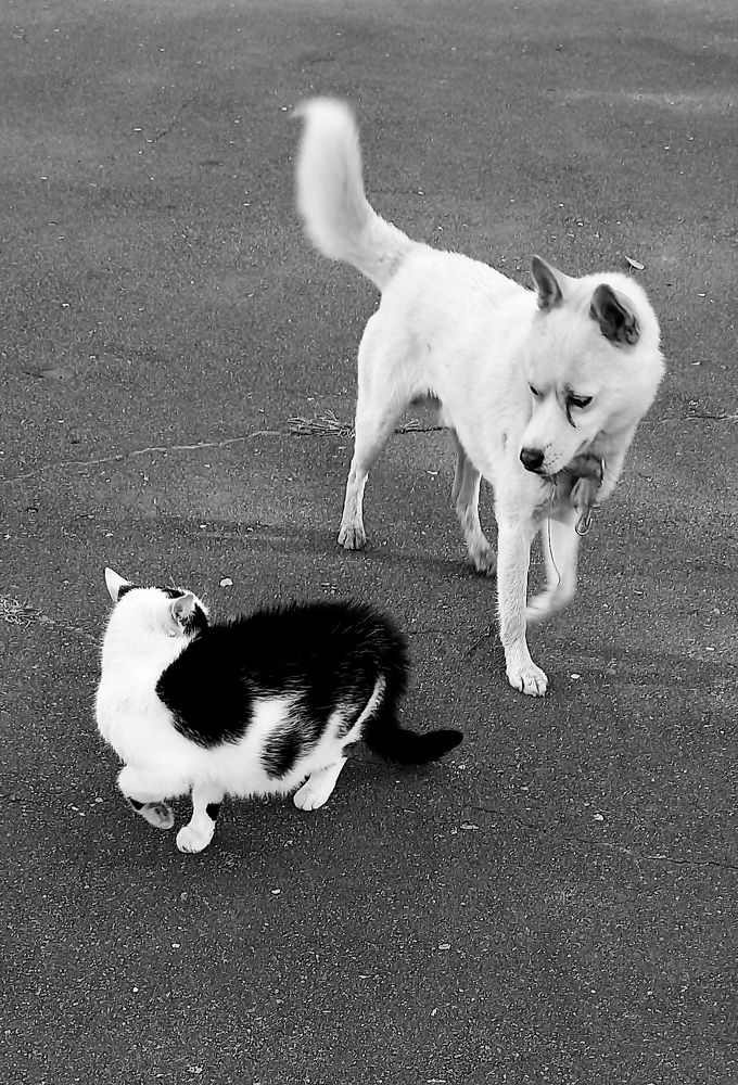 Фотография автора Марина Новикова