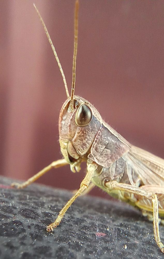 Фотография автора Марина Новикова