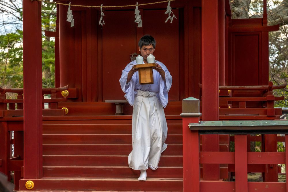 Photograph by Александр Журавлев