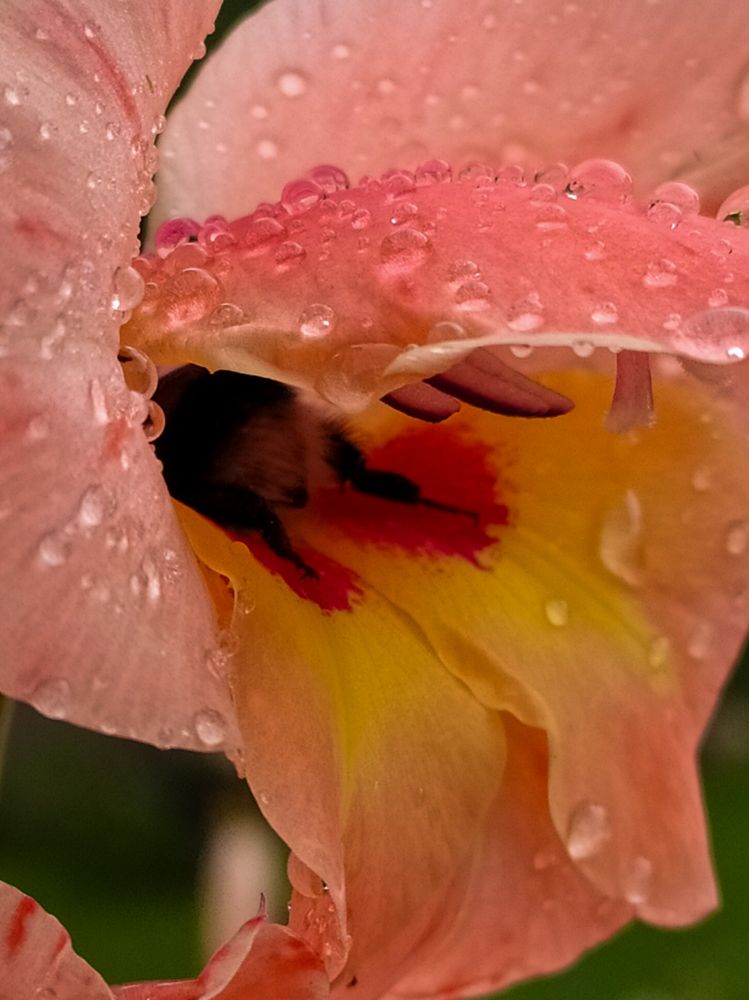 Photograph by Людмила Емельянчикова