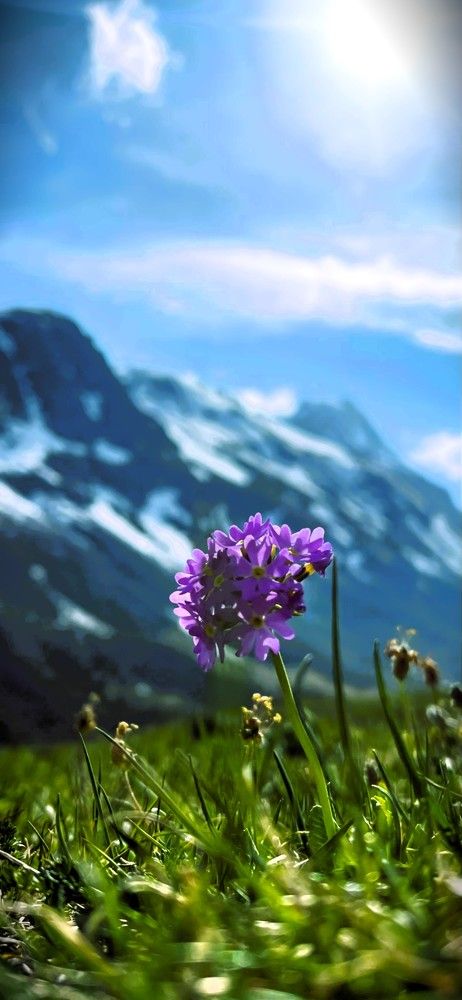 Фотография автора Вячеслав