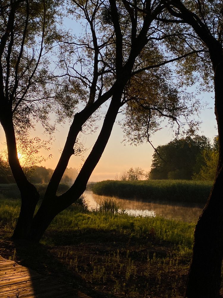 Photograph by Дарья Махнёва