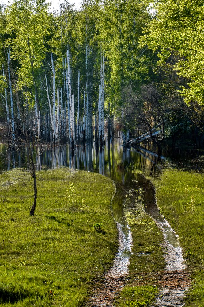 Photograph by Ольга Андронова