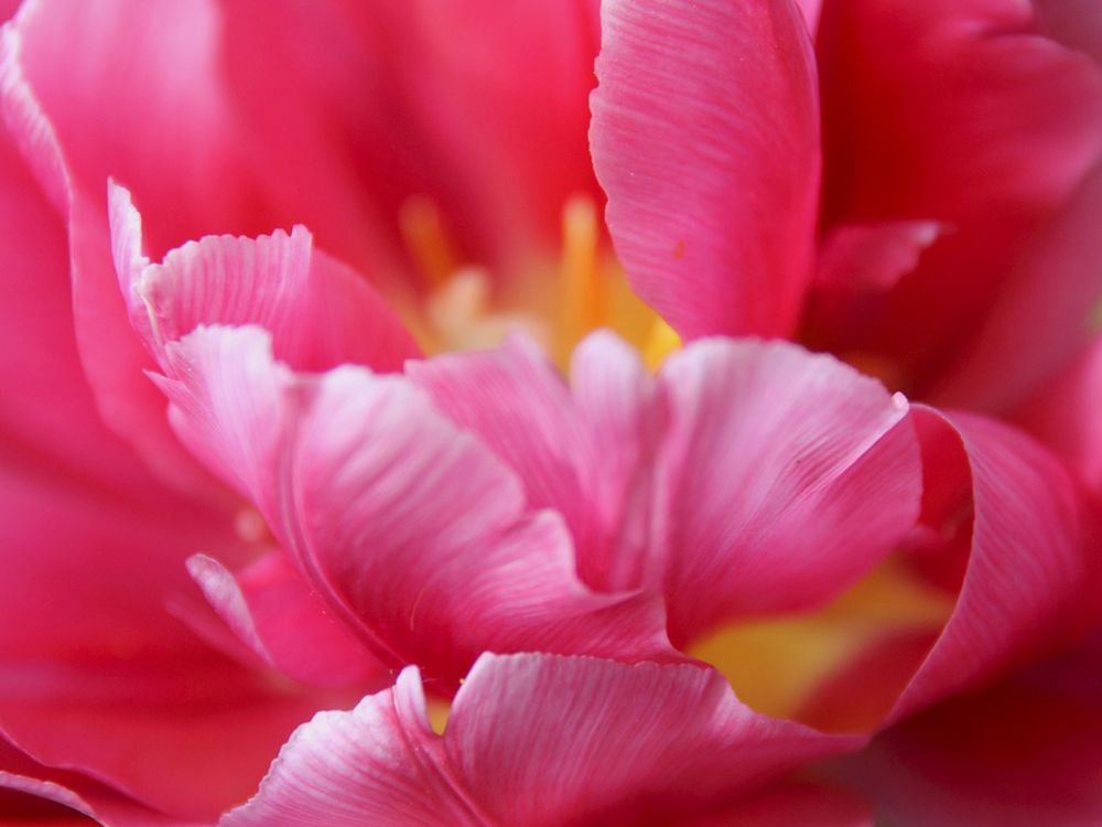 Photograph by Екатерина Кузнецова