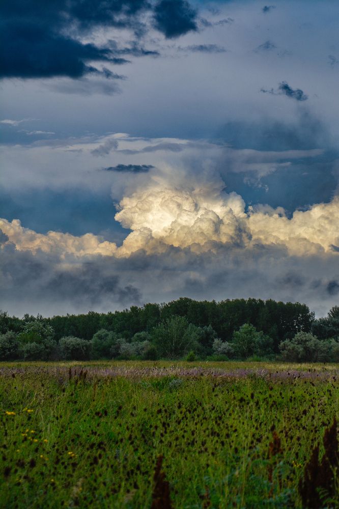 Photograph by Ольга Андронова