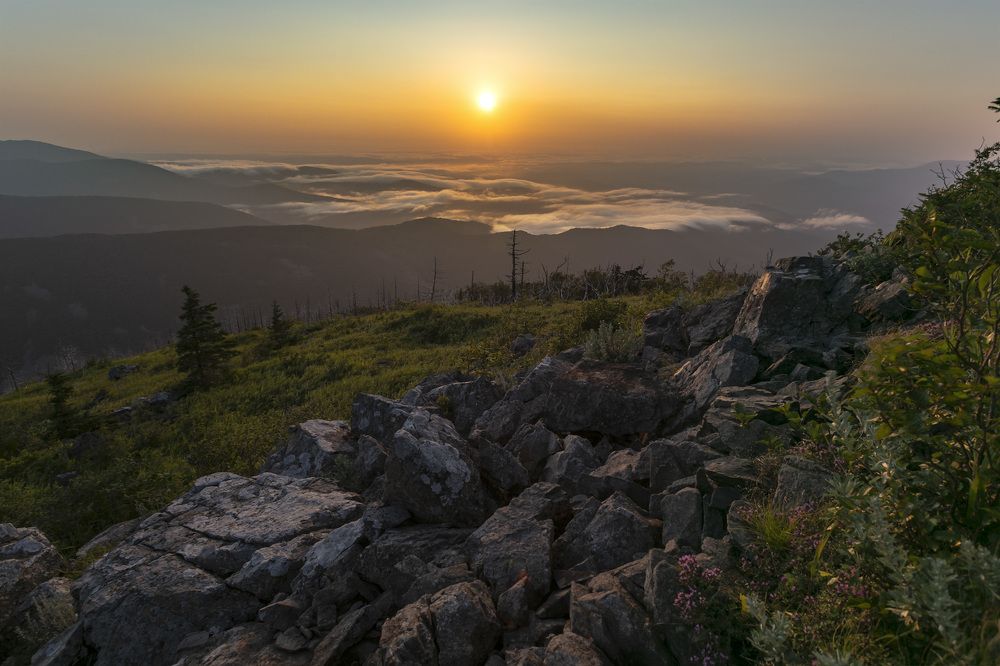 Photograph by ALEKSANDR KUZNETSOV