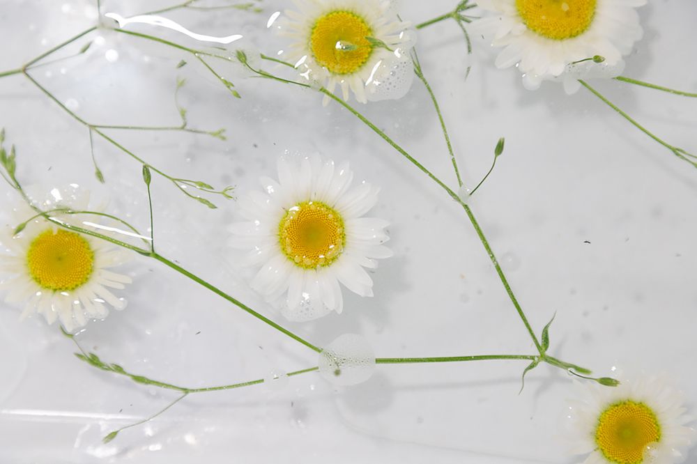 Photograph by Наталья Житинева