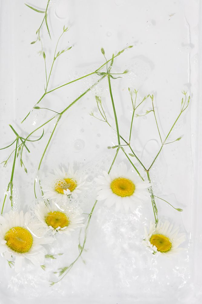 Photograph by Наталья Житинева