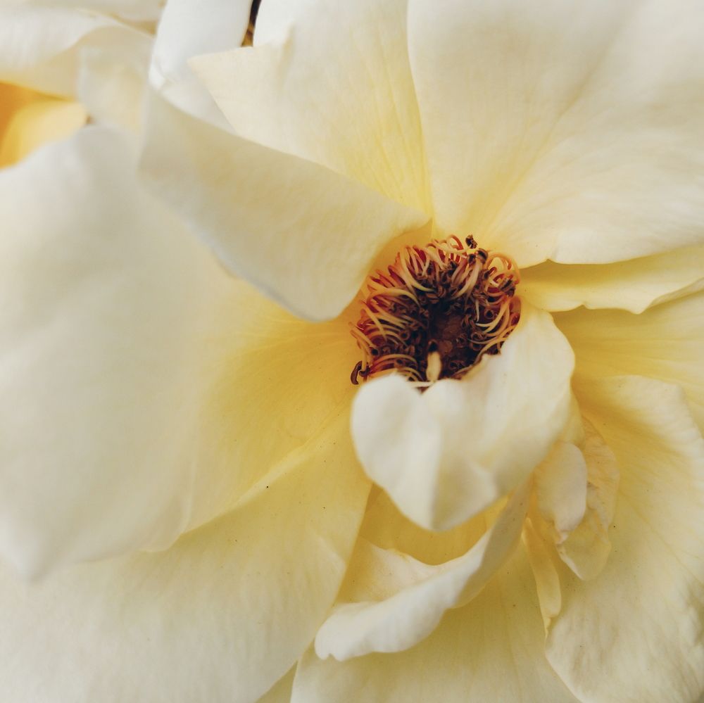 Photograph by Екатерина Кузнецова