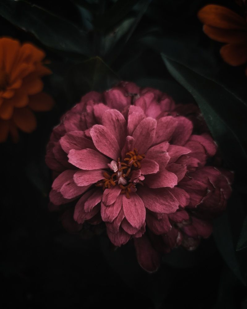 Photograph by Дарья Макаревич