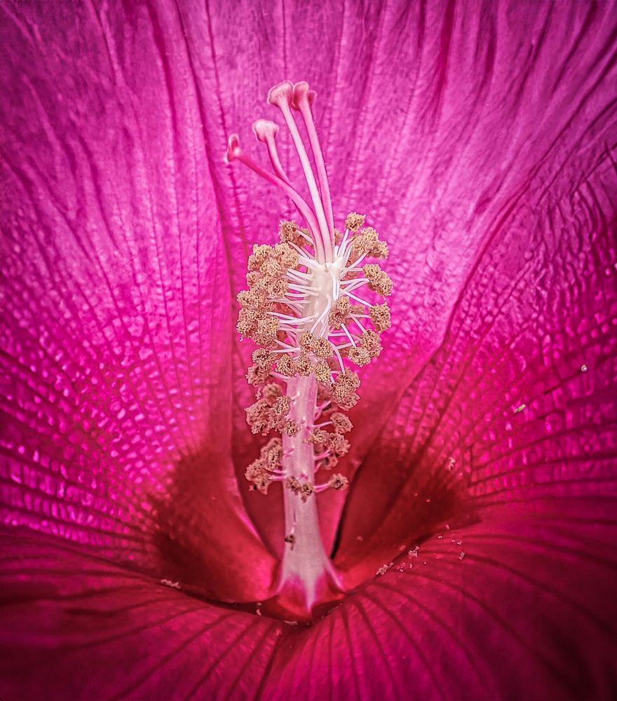 Фотография автора Карина Сагитова