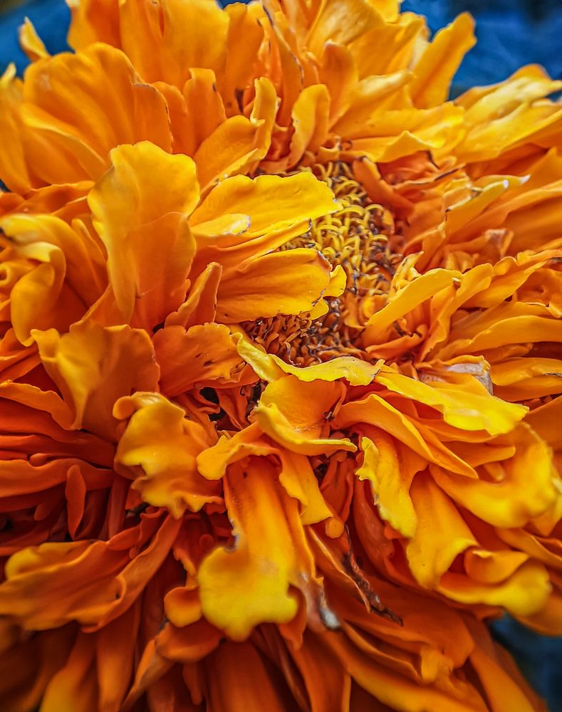 Фотография автора Карина Сагитова