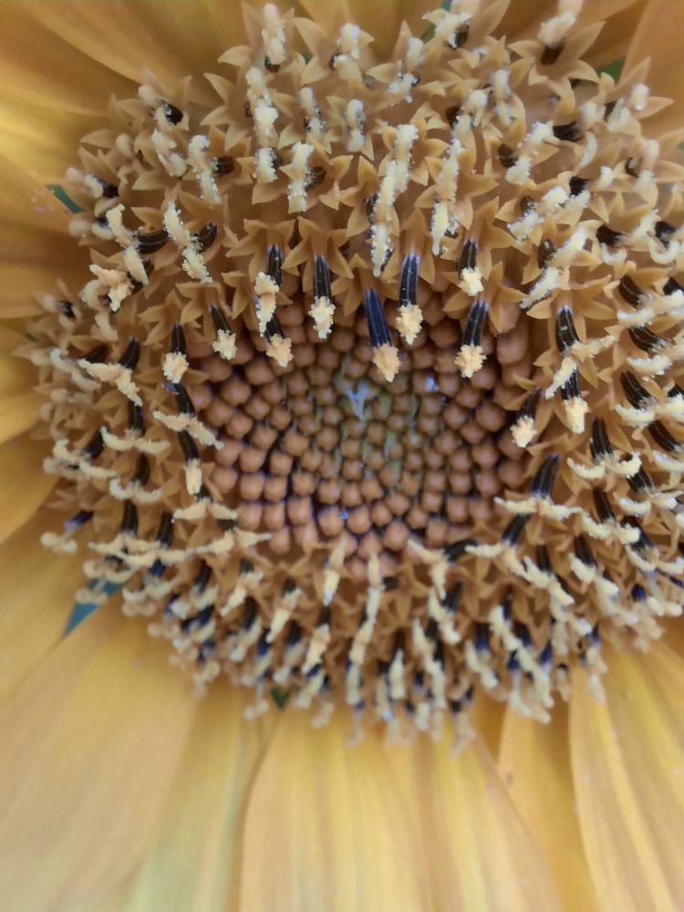 Photograph by Елена Валерьевна