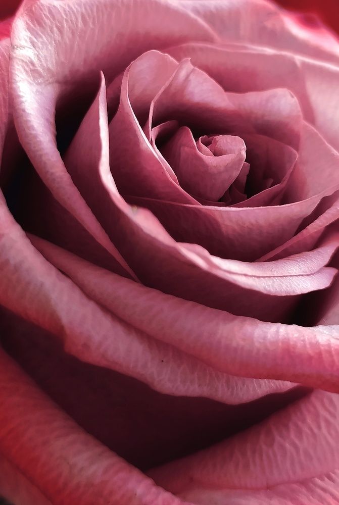 Photograph by Татьяна Лихачева