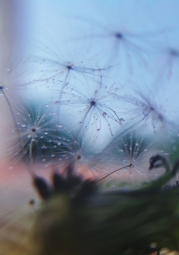 Photograph by Татьяна Лихачева