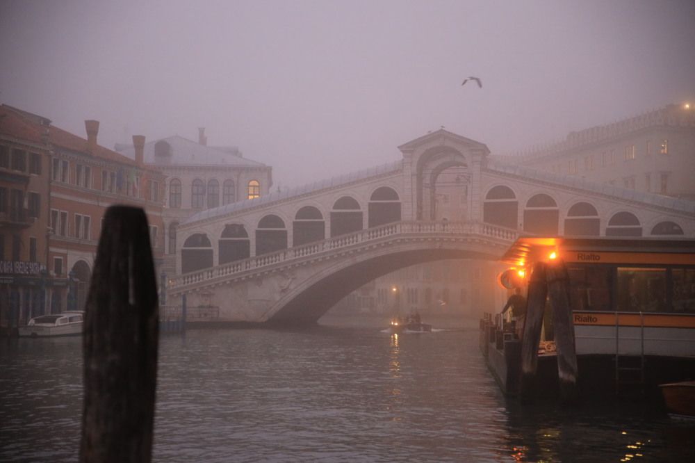 Photograph by Ольга Одаренко