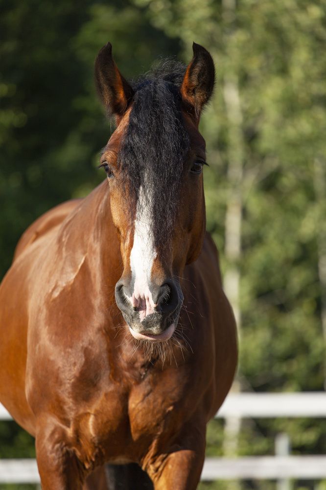 Фотография автора Полина Жаринова