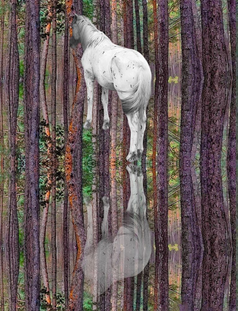 Photograph by Selina Marina