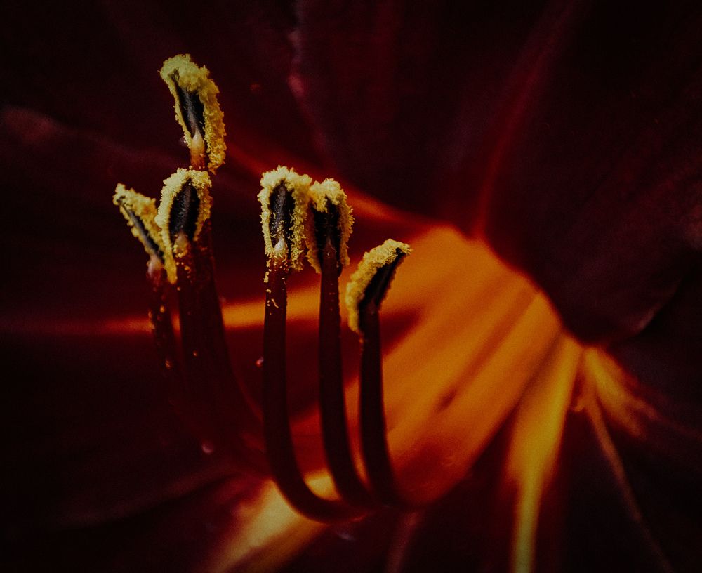 Photograph by Александра Петрова