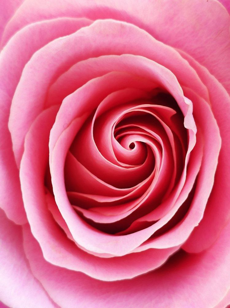 Photograph by Ольга Денисова