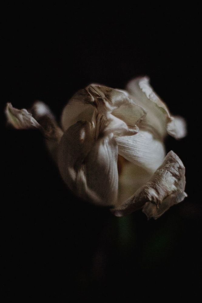 Photograph by Ольга Денисова