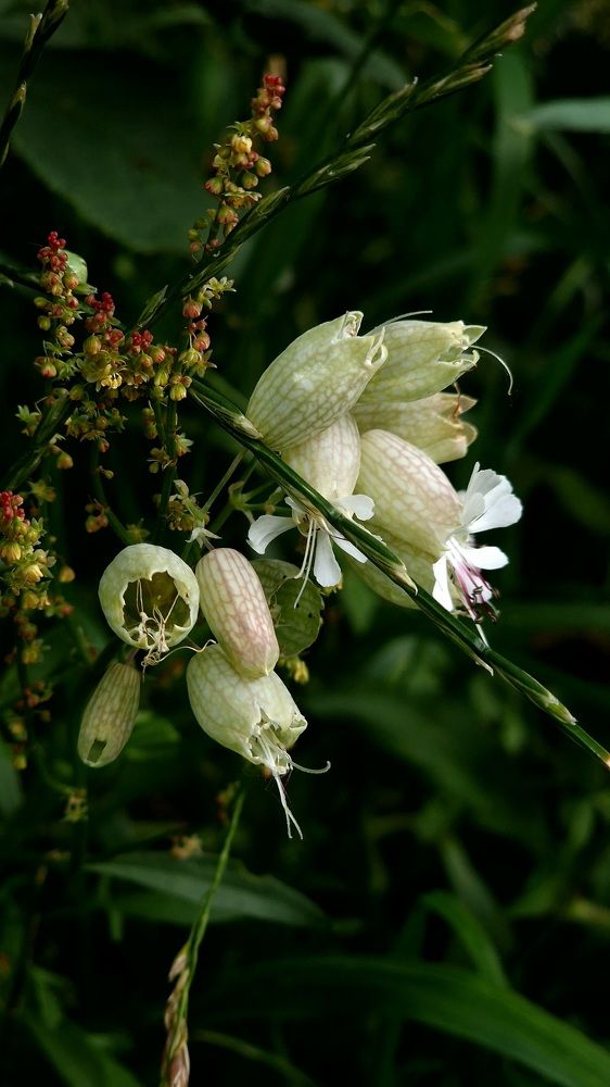 Фотография автора Ольга Быстрова