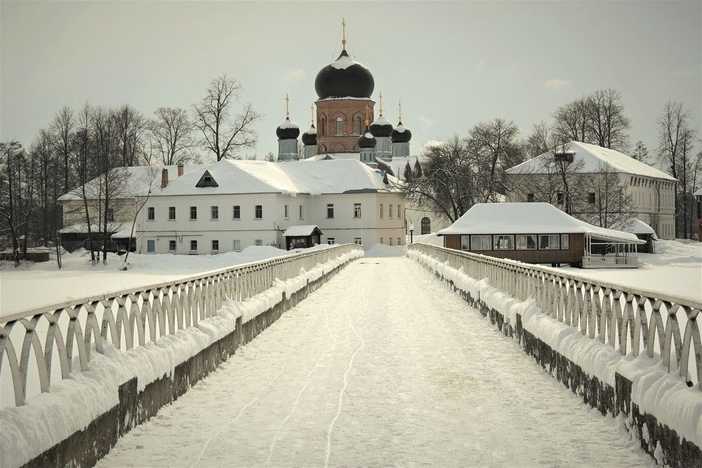 Фотография автора IRINA FILIPPOVA