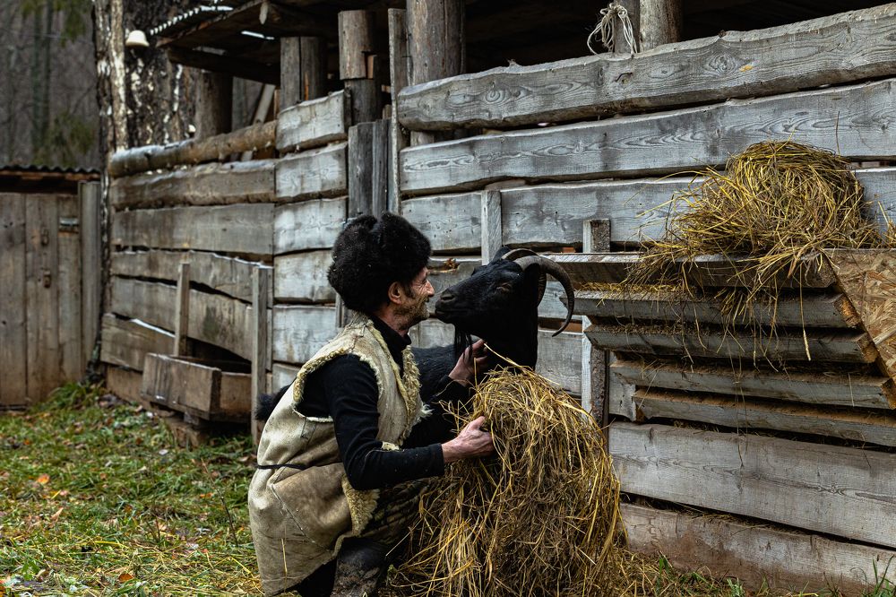 Photograph by Алексей Широбоков