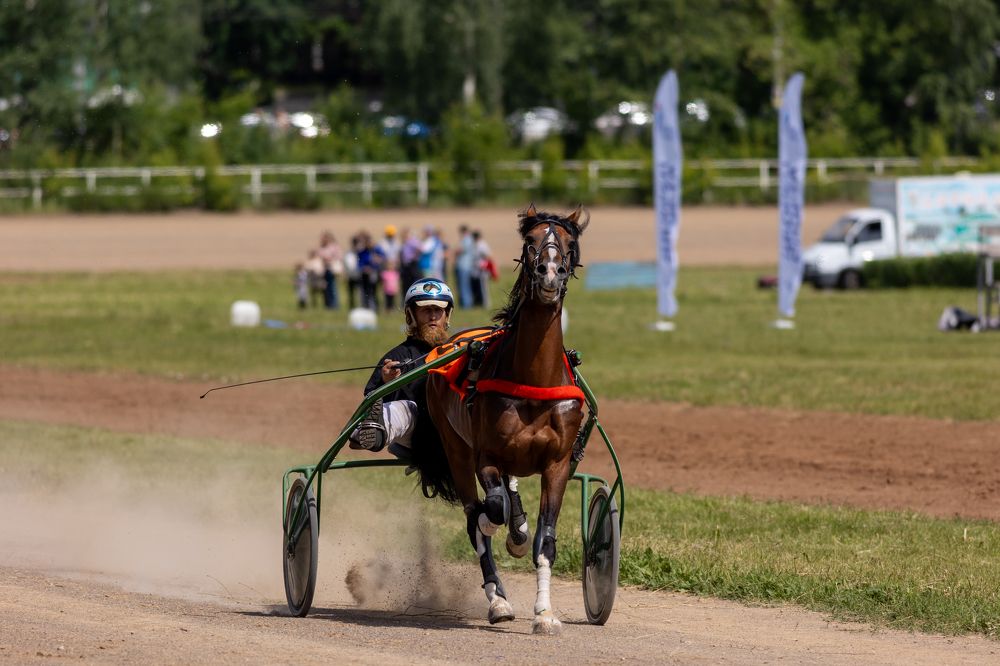 Photograph by Алексей Широбоков